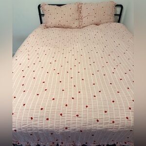 Pottery Barn Teen Queen Duvet set